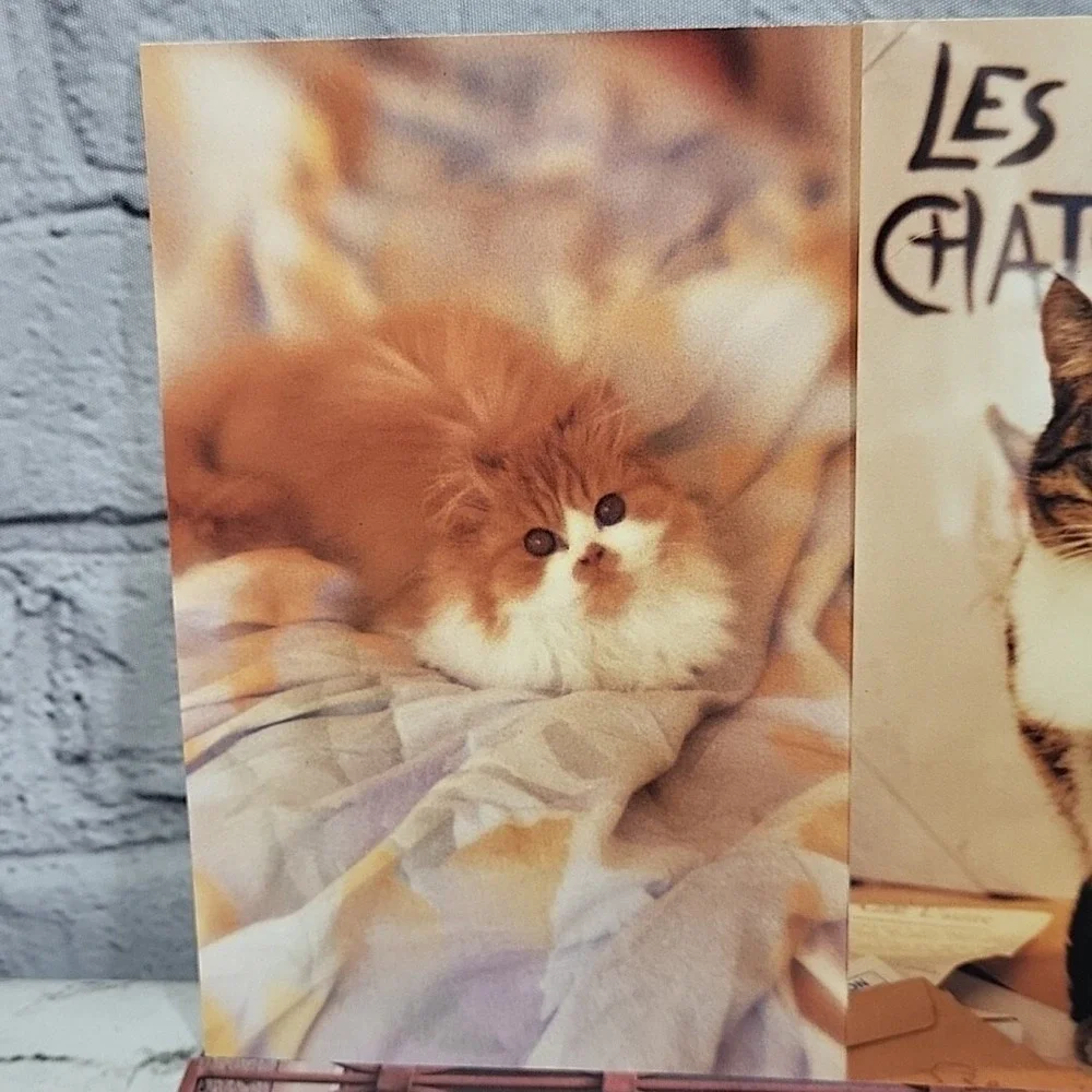 Vintage Oversized Kitty Cat‎ Postcards 7pc Lot #4